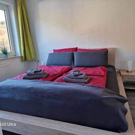 Ferienwohnung Vier Pfoten Willingen  Dış mekan fotoğraf
