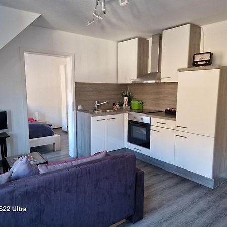 Ferienwohnung Vier Pfoten Willingen  Dış mekan fotoğraf