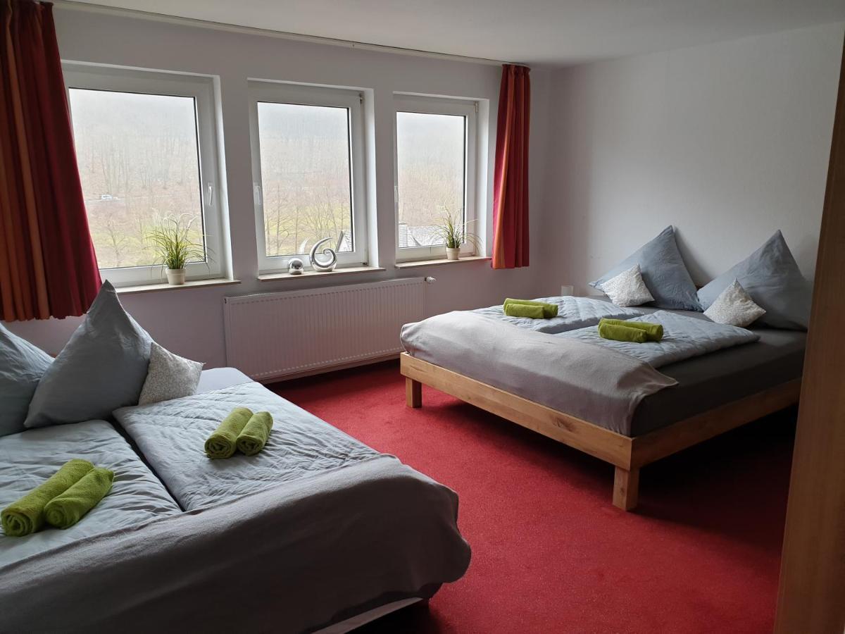 Ferienwohnung Vier Pfoten Willingen  Dış mekan fotoğraf