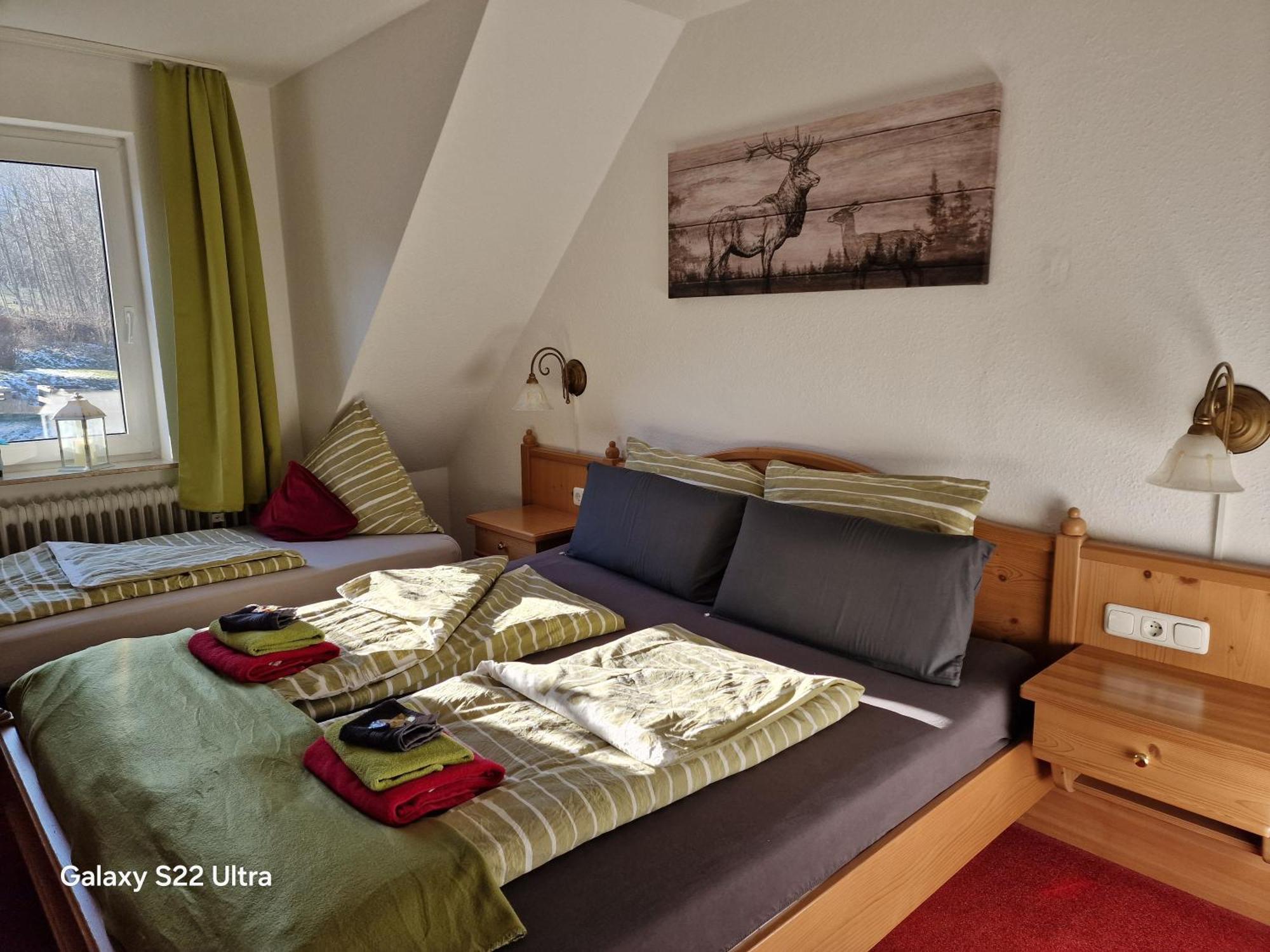 Ferienwohnung Vier Pfoten Willingen  Dış mekan fotoğraf