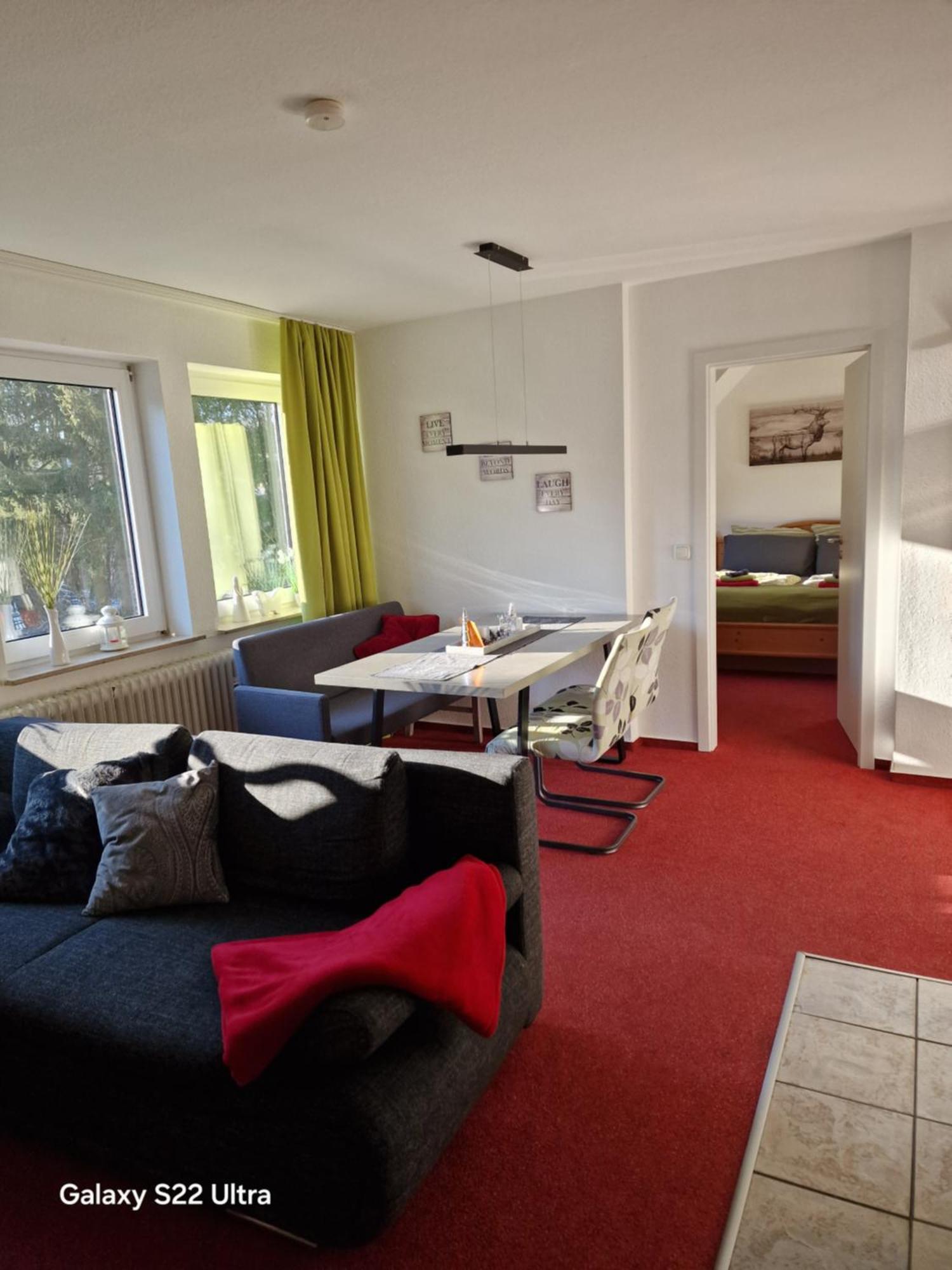 Ferienwohnung Vier Pfoten Willingen  Dış mekan fotoğraf